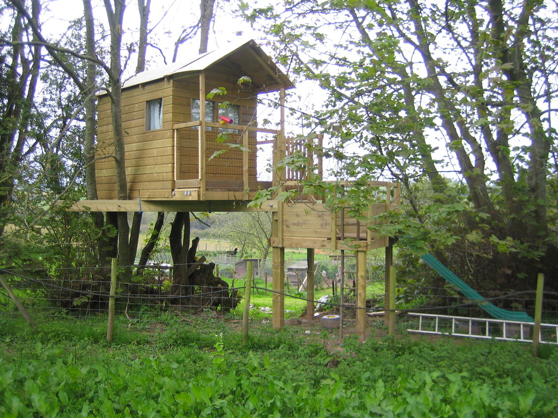 treehouse3.jpg